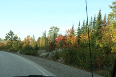 Enlarge photo 387