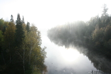Enlarge photo 390