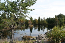 Enlarge photo 391