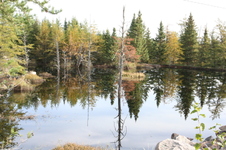 Enlarge photo 392