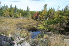 Enlarge photo 393