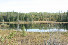 Enlarge photo 394
