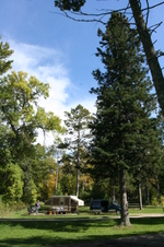 Enlarge photo 411