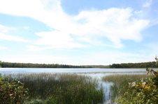 Enlarge photo 412