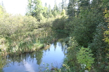 Enlarge photo 421