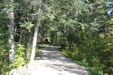 Enlarge photo 422