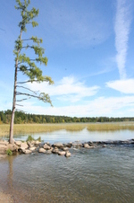 Enlarge photo 426