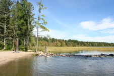 Enlarge photo 427