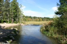 Enlarge photo 429