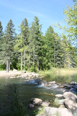 Enlarge photo 430