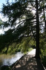 Enlarge photo 431