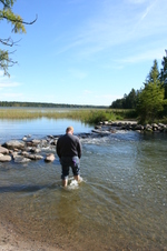 Enlarge photo 432