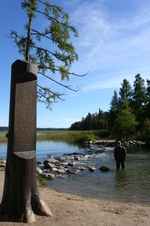Enlarge photo 433
