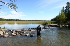 Enlarge photo 435