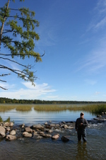 Enlarge photo 436