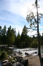 Enlarge photo 438