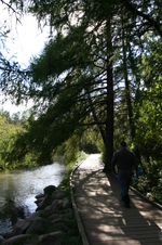 Enlarge photo 439