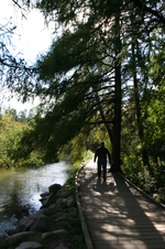 Enlarge photo 440