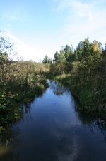Enlarge photo 441