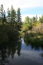 Enlarge photo 442