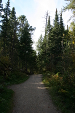 Enlarge photo 443