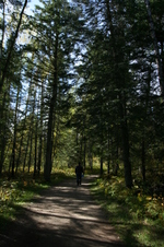 Enlarge photo 445