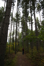 Enlarge photo 461