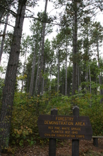 Enlarge photo 462