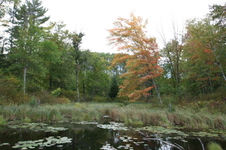 Enlarge photo 464