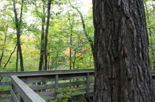 Enlarge photo 467