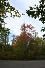 Enlarge photo 472