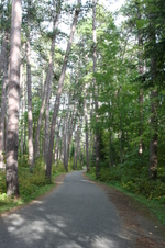 Enlarge photo 474