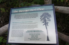 Enlarge photo 479