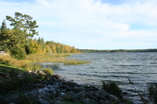 Enlarge photo 483
