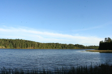 Enlarge photo 486