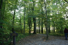 Enlarge photo 489