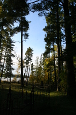 Enlarge photo 492