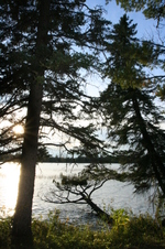 Enlarge photo 494