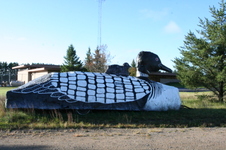 Enlarge photo 534