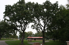 Enlarge photo 541