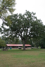 Enlarge photo 542