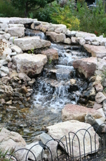Enlarge photo 548
