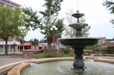 Enlarge photo 554