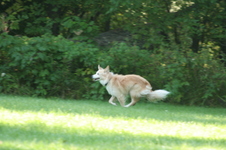 Enlarge photo 93