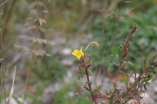 Enlarge photo 342