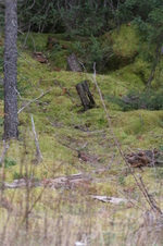 Enlarge photo 348