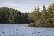 Enlarge photo 363