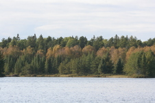 Enlarge photo 364