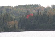 Enlarge photo 372