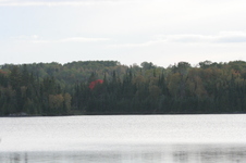 Enlarge photo 373